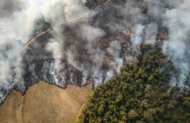 Kekeringan Terparah di Brasil dan Risiko Lonjakan Inflasi Pangan Dunia