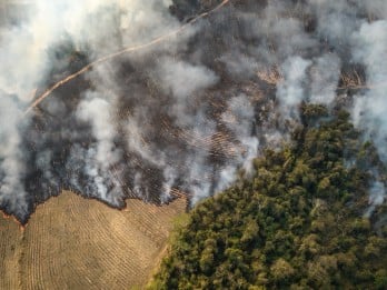 Kekeringan Terparah di Brasil dan Risiko Lonjakan Inflasi Pangan Dunia