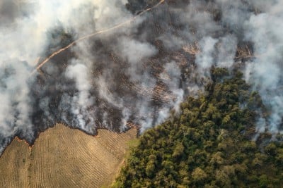 Kekeringan Terparah di Brasil dan Risiko Lonjakan Inflasi Pangn Dunia