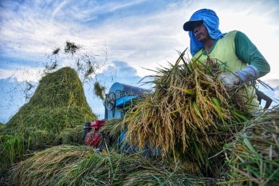 Realisasi Penyerapan Beras Dalam Negeri Melalui Perum Bulog Mencapai 908.000 Ton