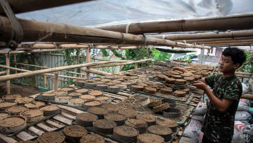 Kelompok Obor Desa Organik Sukajaya Manfaatkan Kotoran Sapi Untuk Dijadikan Briket Media Tanam
