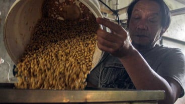 Indonesia Telah Mengimpor Kedelai Sebanyak 1,67 Juta Ton
