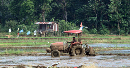 Staf Kepresidenan Jokowi: Realitas Berbeda dengan Target Lumbung Pangan Dunia Prabowo-Gibran