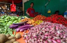 Optimalisasi Pertanaman Bawang di Lumajang Tekan Inflasi