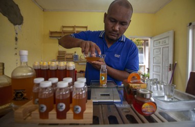 Budidaya Madu Kelulut Jadi Usaha yang Diminati di Sumbar