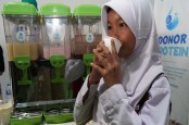 Badan Gizi Nasional Bakal Uji Coba Susu Ikan untuk Program Makan Bergizi Gratis