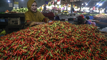 Harga Cabai Rawit Di Ternate Tembus Rp100 Ribu per Kilogram