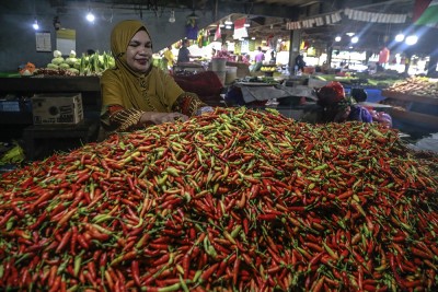 Harga Cabai Rawit Di Ternate Tembus Rp100 Ribu per Kilogram