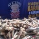 Operasi Rokok Ilegal di Kudus, 597.450 Batang Disita