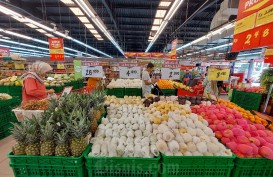 Petani Hidroponik Pekanbaru Raih Sertifikat, Produk Sudah Dipasarkan di Supermarket