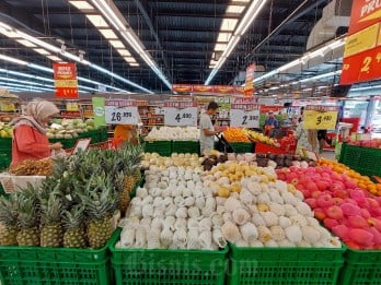 Petani Hidroponik Pekanbaru Raih Sertifikat, Produk Sudah Dipasarkan di Supermarket