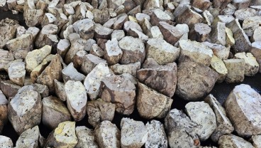Harga Lelang Bokar Petani Karet Sumut Tembus Rp15.500 per Kg, Tertinggi Tahun Ini