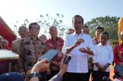 Jokowi Obral Status KEK & PSN Proyek Konglomerat, Demi Balas Budi IKN?