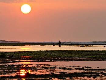 Wisata Alas Purwo, Eksotika Ujung Timur Pulau Jawa