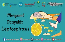 Sumsel Tetapkan Status Waspada Penularan Bakteri Leptospirosis Melalui Kencing Tikus