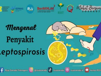 Sumsel Tetapkan Status Waspada Penularan Bakteri Leptospirosis Melalui Kencing Tikus