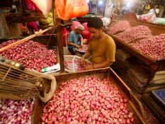 Harga Pangan Hari Ini 15 Oktober: Beras, Bawang, Minyak Goreng Naik