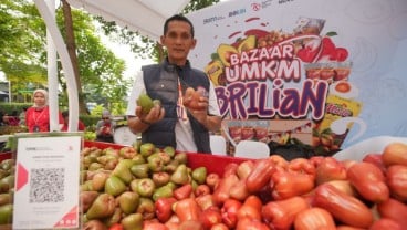 Kisah Pengusaha Jambu Kudus Sukses Berkat Pemberdayaan BRI