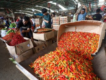 Harga Anjlok, Bapanas Dorong ASN Serap Cabai Petani