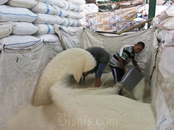 RI Impor 3,2 Juta Ton Beras, Pengamat Soroti Kurang Optimalnya Serapan Beras Petani