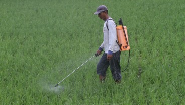 Kelompok Tani di Garut Diguyur Bantuan Benih Padi 325 Ton