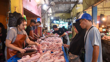 Harga Daging Ayam Ras di Kalimantan Timur Alami Penurunan