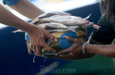 Pembiayaan Sektor Perikanan di Sulsel akan Diperkuat