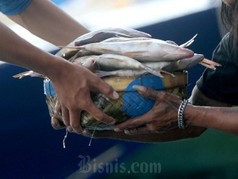 Pembiayaan Sektor Perikanan di Sulsel akan Diperkuat