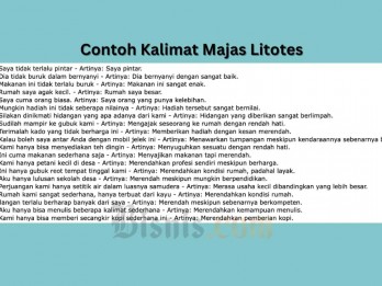 Pengertian Majas Litotes dan Contoh Kalimatnya