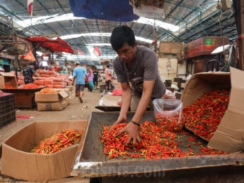 Harga Ayam dan Cabai di Palembang Mulai Bergejolak