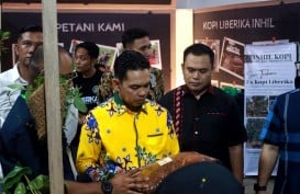 Pemkab Inhil Angkat Potensi Kopi Liberika Lewat UMKM Expo 2024