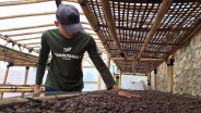 Minat Generasi Muda Bertani Kopi di Sumedang Terus Meningkat