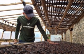 Minat Generasi Muda Bertani Kopi di Sumedang Terus Meningkat