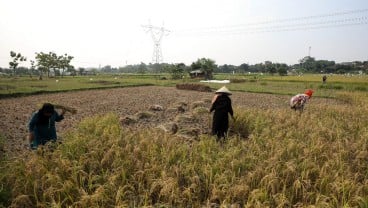 DPRD Kabupaten Cirebon Soroti Alih Fungsi Lahan Pertanian