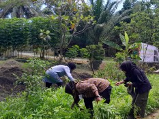 Desa Kebun Kelapa di Langkat Bakal Jadi Destinasi Wisata