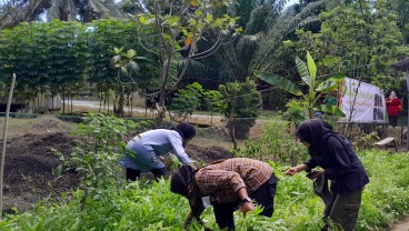 Desa Kebun Kelapa di Langkat Bakal Jadi Destinasi Wisata