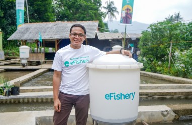 eFishery Putus Kerja Sama dengan Investree, Semua Pinjaman Sudah Lunas