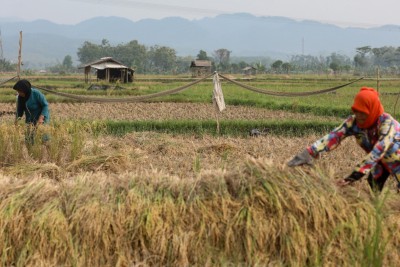 Menakar Plus Minus Rencana Prabowo Putihkan Utang Petani dan Nelayan