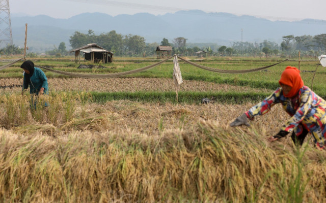 Menakar Plus Minus Rencana Prabowo Putihkan Utang Petani dan Nelayan