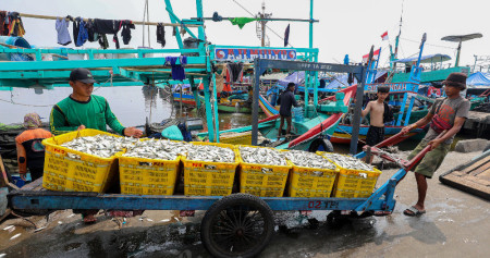Pekerja memindahkan ikan hasil tangkapan nelayan di Dermaga Pelabuhan Muara Angke, Jakarta, Selasa (9/7/2024). Bisnis/Eusebio Chrysnamurti