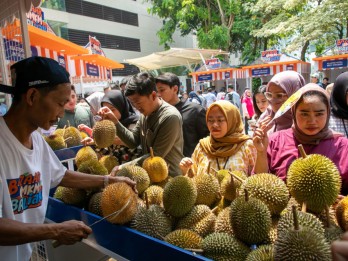 Pemberdayaan BRI, Petani Durian Pekalongan Semakin Maju