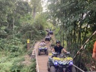 Harga Tiket Taman Safari Indonesia (TSI) jadi 3 Kelas, Simak Detailnya