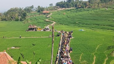 Desa Bantaragung, Melawan Arus Kelangkaan Beras dengan Kemandirian Pangan