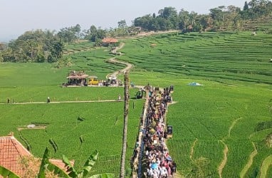 Desa Bantaragung, Melawan Arus Kelangkaan Beras dengan Kemandirian Pangan