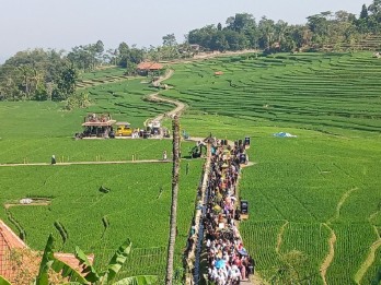 Desa Bantaragung, Melawan Arus Kelangkaan Beras dengan Kemandirian Pangan