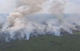 Suhu Panas Karhutla Wilayah Sumsel Tersebar di 4 Kabupaten