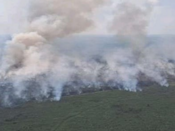 Suhu Panas Karhutla Wilayah Sumsel Tersebar di 4 Kabupaten