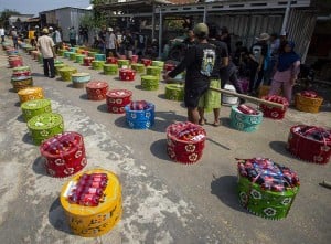 Warga Gelar Tradisi Tenongan di Indramayu Sebagai Syukur Atas Hasil Panen Padi