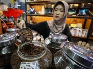 Ekspor Komoditas Kopi Selama Januari-September 2024 Mencapai US$ 1,49 Miliar