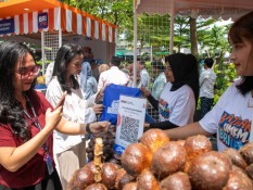 Diberdayakan BRI, Bisnis Klaster Petani Salak Ini Melejit!